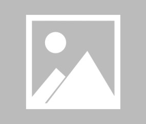 开云官网-【布鲁克林网事】击败篮网的雄鹿队，最终还是夺冠了